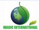 Magic International Group Ltd.