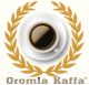  Oromia Kaffa Ethiopian Specialty Grade Gourmet Coffee Export