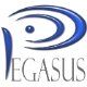 Pegasus Profiles