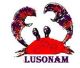 lusonam