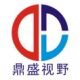 Guangzhou Dingshengshiye Electronic Technology Co., Ltd