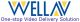 WellAV Technologies Ltd.