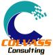 COLVASS CONSULTING LIMITED