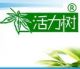 Health Tea Co., Ltd. of Guizhou Province