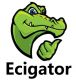 Ecigator Electronic Cigarette