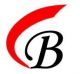 Bocen (HK) Technology Co., Ltd.