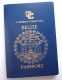 Passport Service 2011