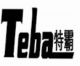 RUI AN TEBA Automobile Parts Co., Ltd