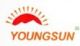 Anhui Youngsun Pesticides Co., Ltd