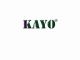 KAYO BATTERY TECHNOLOGY STOCK COMPANY