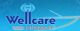 Wellcare Infotech LLC