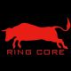 Jiangxi Ring Core Electronics Co. Ltd