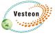 Shandong Vesteon Aotomotive Parts(Group) Co, . Ltd