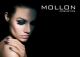 Mollon Ltd