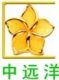 Shenzhen Zhongyuanyang (Lighting) Investment Development Co., Ltd