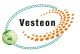 Shandong Vesteon Automotive Parts (Group) Co., Ltd