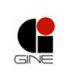 Hangzhou GINE Machinery Manufacture Co. Ltd.