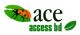 ace access bd