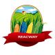 YANTAI REACWAY CO., LIMITED