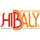  Hibaly Inc