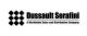 Dussault Serafini Inc.