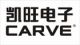 Shenzhen Carve Electronics Co., Ltd