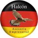 Saxony Falcon