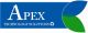 APEX TECHNOLOGY SOLUTIONS
