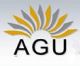 AGU Engineering Services Pvt Limited