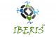 Iberis