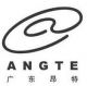 Guangdong Angte A&V Co., Ltd