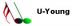U-Young electronic Co., Ltd