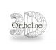 3D Ortholine