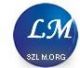 LM electronic technology