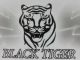 SHANDONG BLACK TIGER CARBON BLACK CO, .LTD