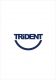  Trident Group Inc.