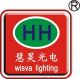 Shenzhen Wisva Lighting Compamy