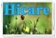 Guangzhou Hicare Dental Equipment and Material Co., LTD