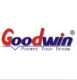 Shenzhen Goodwin Technology Co Ltd