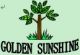 sino golden sunshine(group)stock company limited