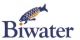 Biwater AEWT, Inc.