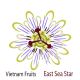 VIETNAM FRUITS EAST SEA STAR CO., LTD