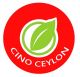 Cino Ceylon