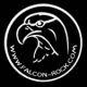 Falcon International Trading Company LTD