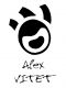 ALEX VIET DESIGN LLC