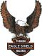 Turkish Eagle Shield Nig. Ltd.