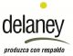 Delaney SRL