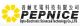 Pepnice Opto-electronic Science & Technology Co., Ltd