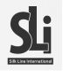 Silk Line International Ltd.