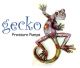 Gecko Pressure Pumps